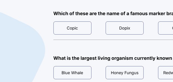 Interactive Trivia Quiz interface